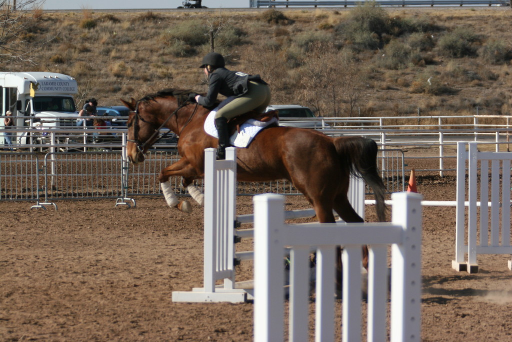 alex/nmsu_d1_fence////nmsu_fence_d1_0001.jpg