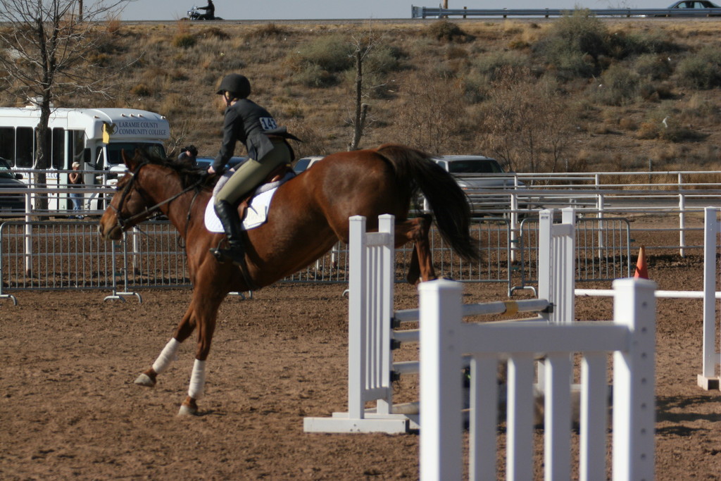 alex/nmsu_d1_fence////////nmsu_fence_d1_0002.jpg