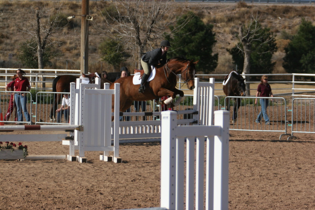 alex/nmsu_d1_fence/////////nmsu_fence_d1_0004.jpg