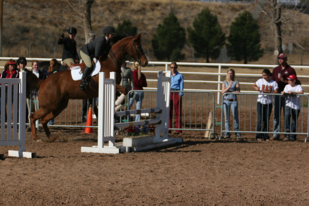 alex/nmsu_d1_fence////////nmsu_fence_d1_0006.jpg