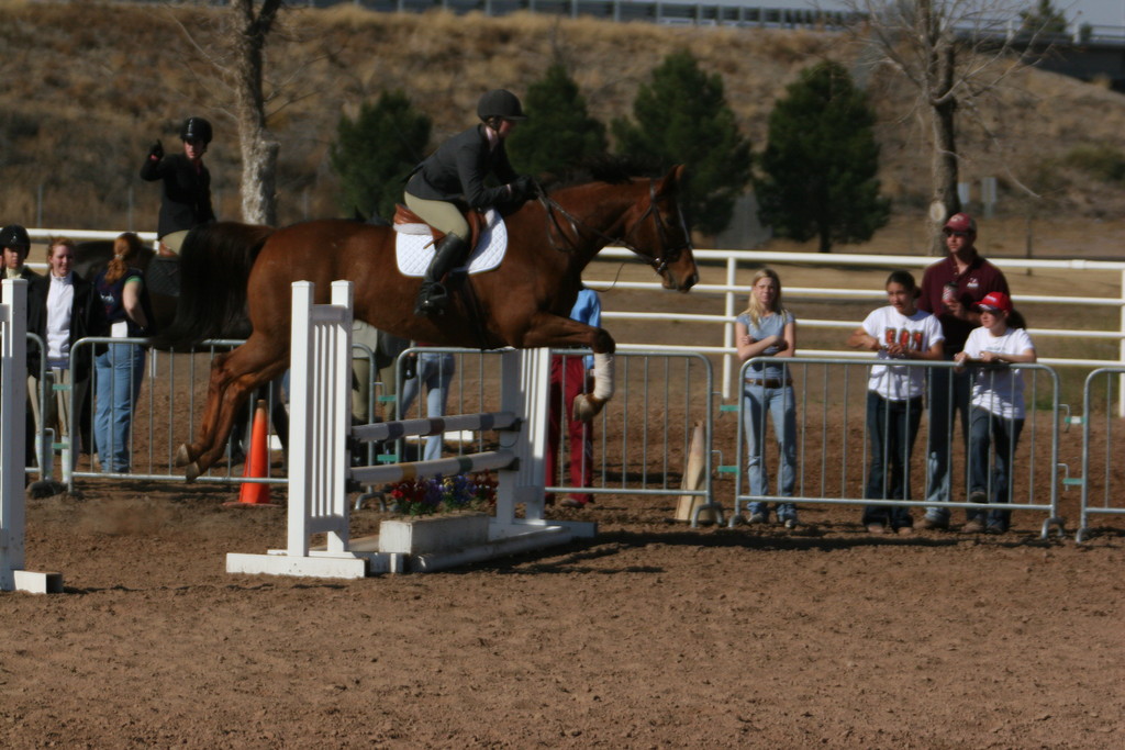 alex/nmsu_d1_fence/////////nmsu_fence_d1_0007.jpg