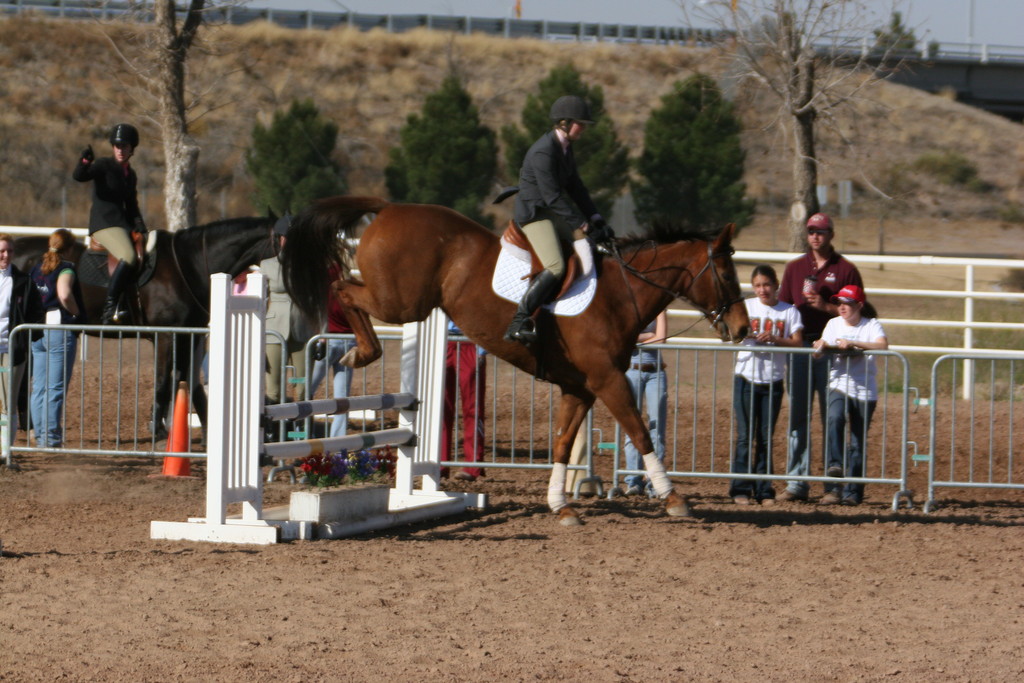 alex/nmsu_d1_fence///nmsu_fence_d1_0008.jpg