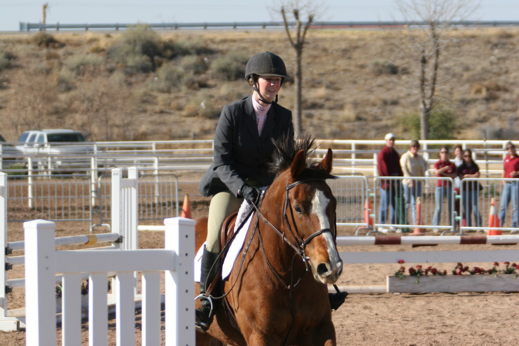 alex/nmsu_d1_fence/////////nmsu_fence_d1_0010.jpg