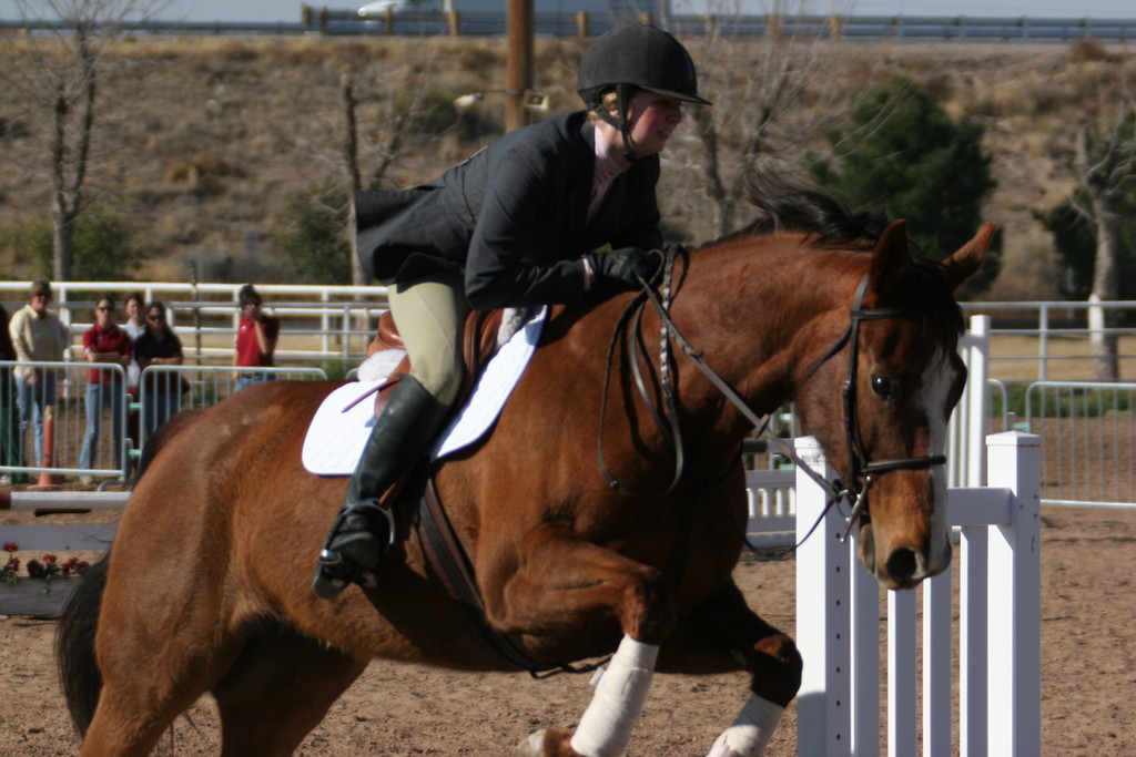 alex/nmsu_d1_fence////nmsu_fence_d1_0013.jpg