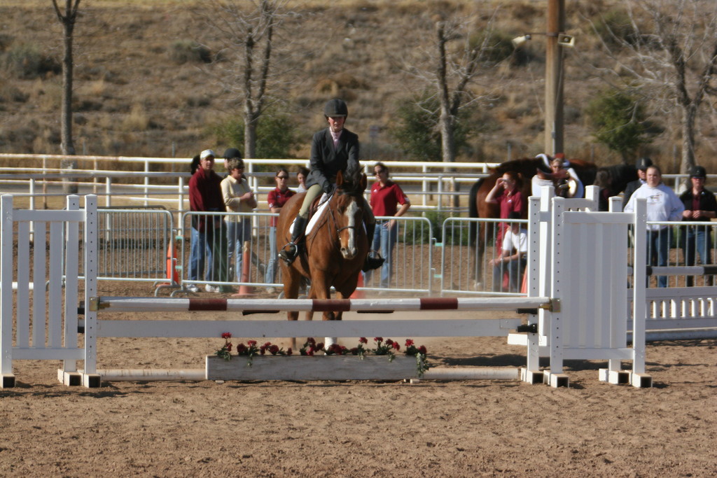 alex/nmsu_d1_fence//nmsu_fence_d1_0014.jpg