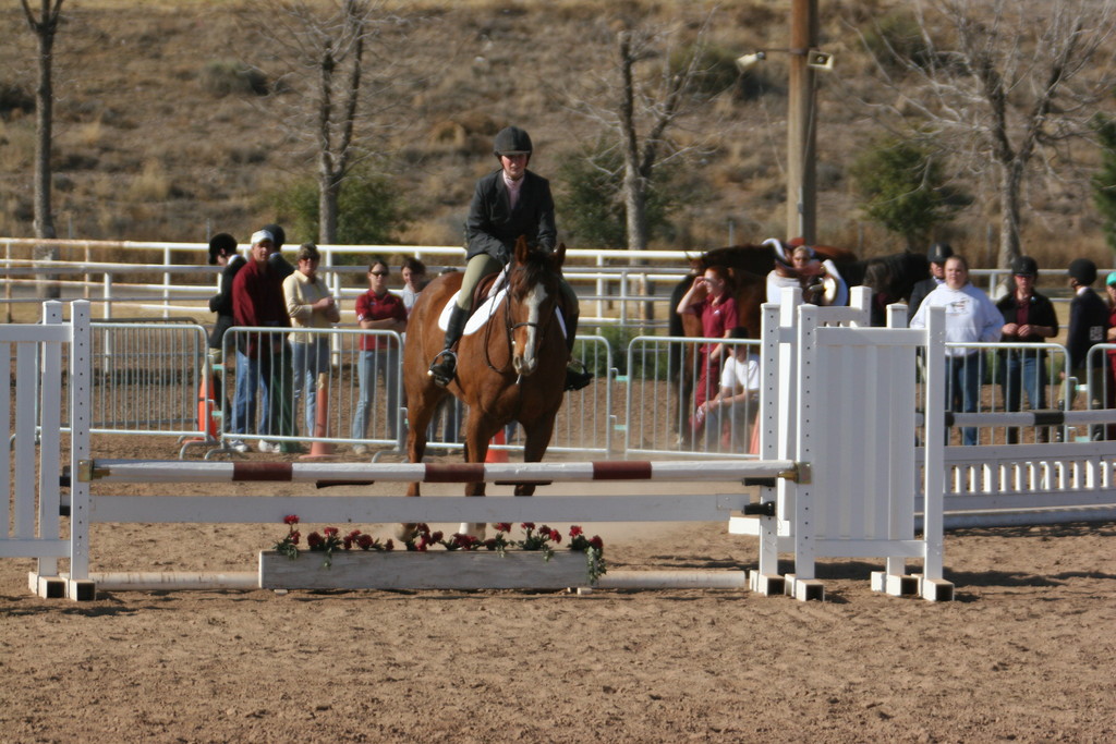 alex/nmsu_d1_fence//////nmsu_fence_d1_0015.jpg