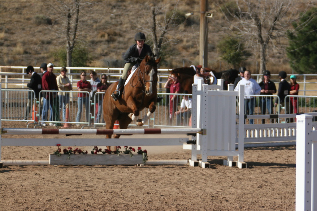 alex/nmsu_d1_fence////////nmsu_fence_d1_0016.jpg