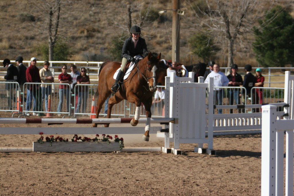 alex/nmsu_d1_fence///nmsu_fence_d1_0017.jpg