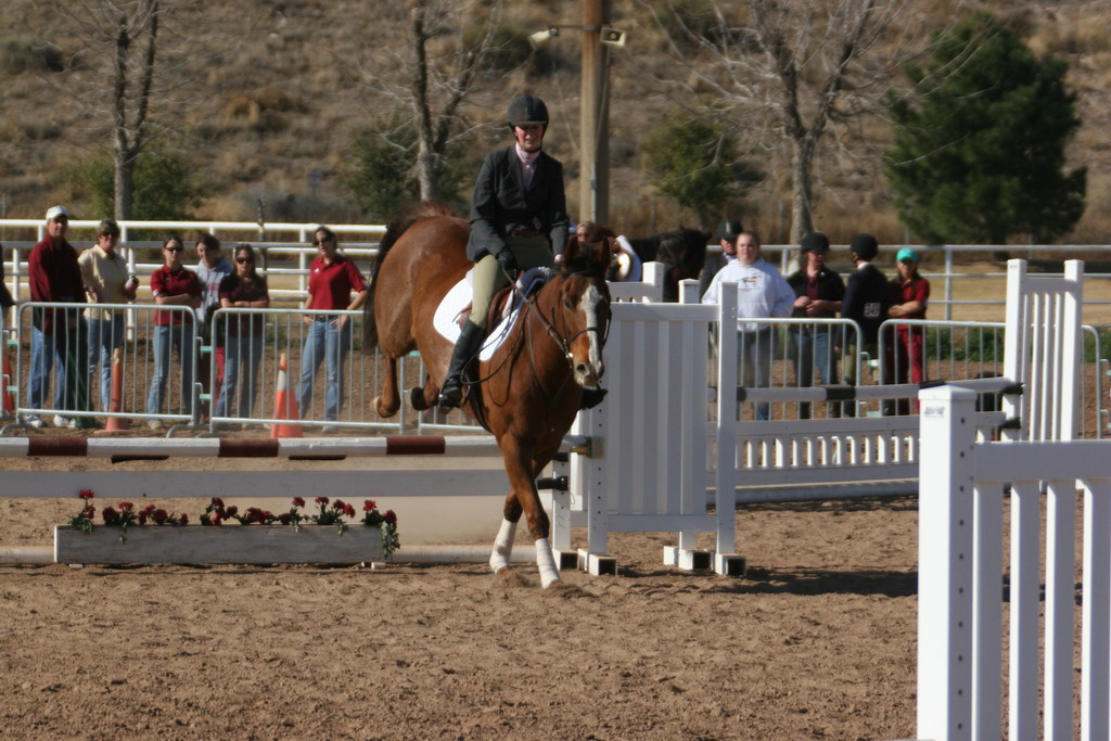 alex/nmsu_d1_fence///////nmsu_fence_d1_0018.jpg