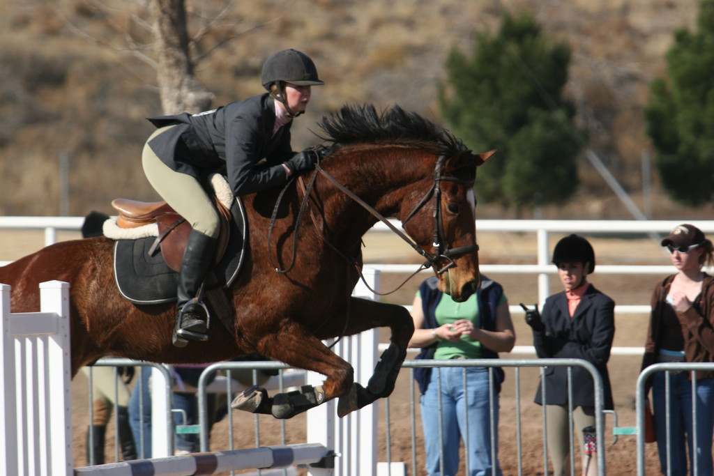 alex/nmsu_d1_fence////nmsu_fence_d1_0023.jpg