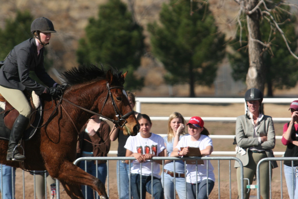 alex/nmsu_d1_fence////nmsu_fence_d1_0024.jpg