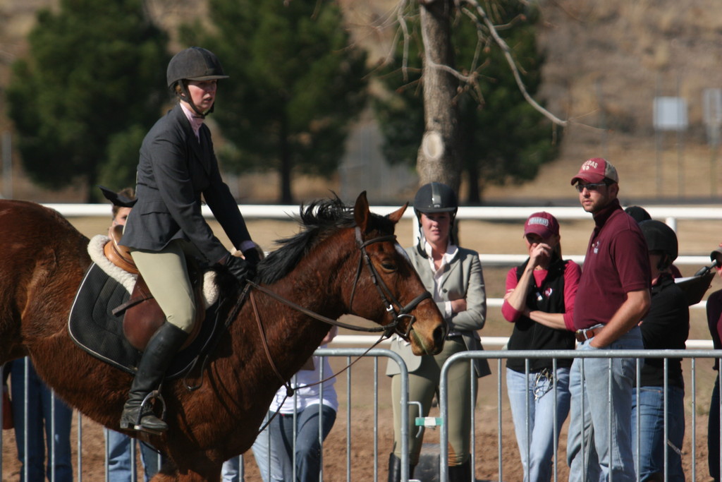 alex/nmsu_d1_fence//nmsu_fence_d1_0025.jpg