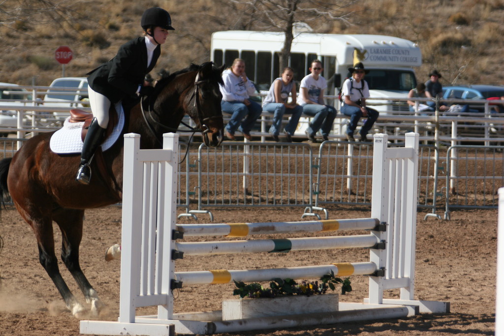 alex/nmsu_d1_fence////////nmsu_fence_d1_0028.jpg