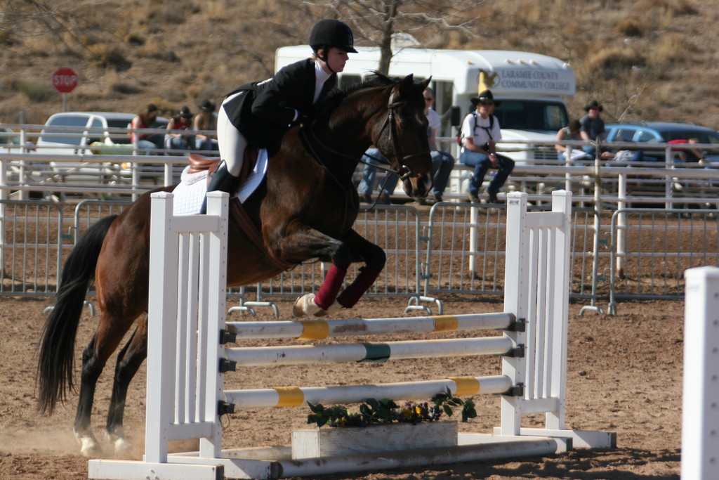 alex/nmsu_d1_fence/////nmsu_fence_d1_0029.jpg