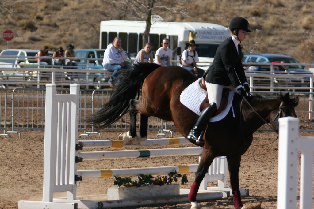 alex/nmsu_d1_fence/////////nmsu_fence_d1_0031.jpg