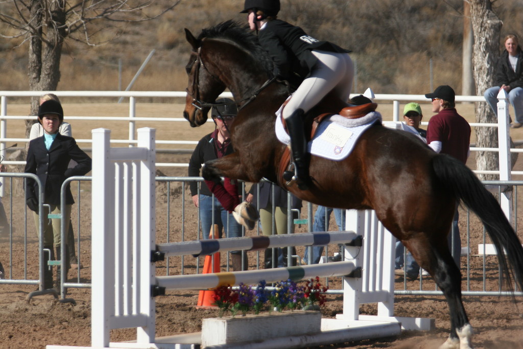 alex/nmsu_d1_fence////////nmsu_fence_d1_0032.jpg