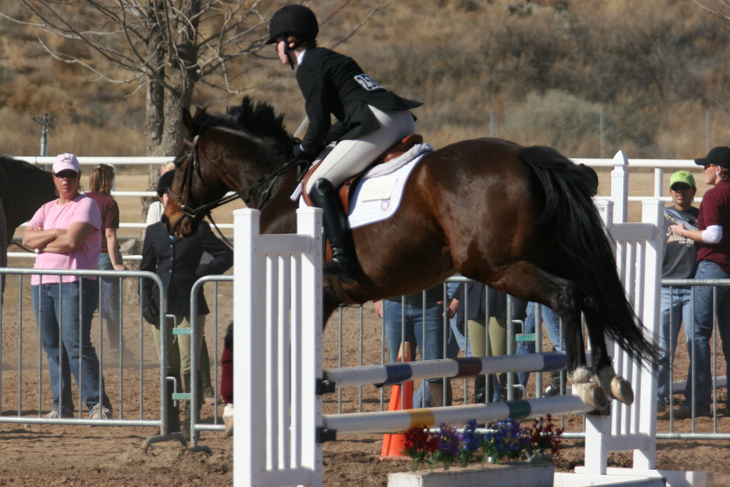 alex/nmsu_d1_fence//////nmsu_fence_d1_0033.jpg