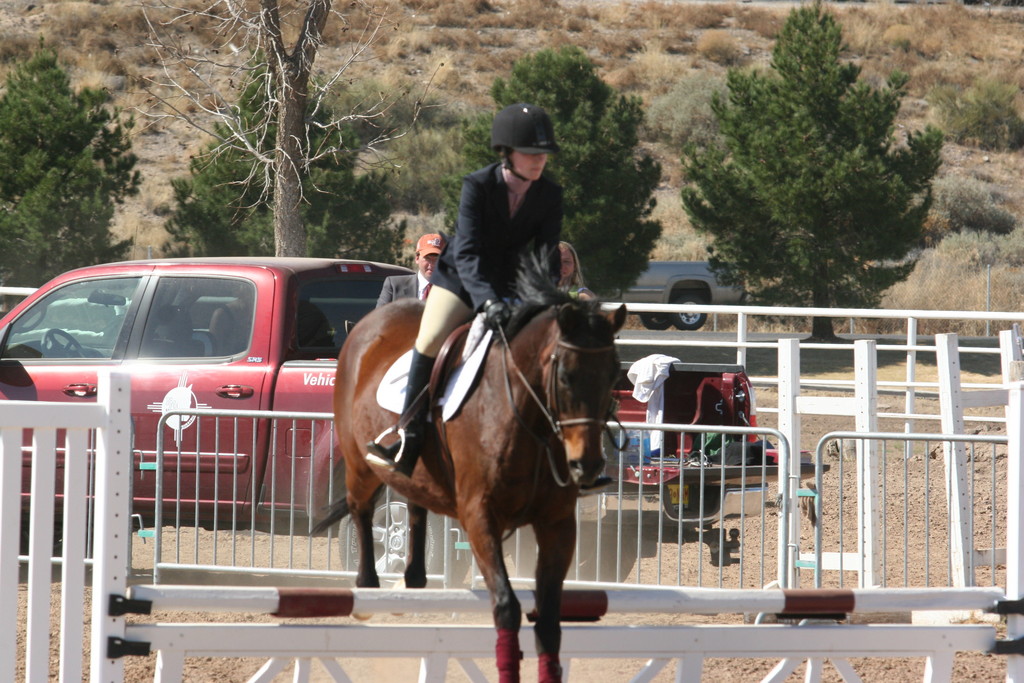 alex/nmsu_d1_fence/////////nmsu_fence_d1_0041.jpg