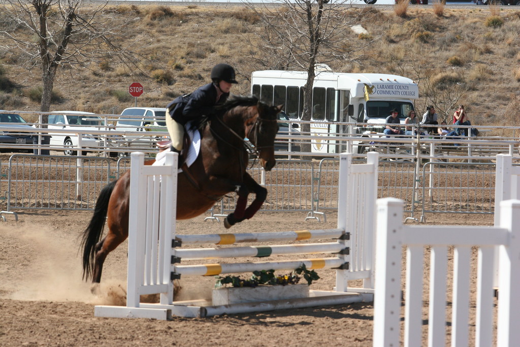 alex/nmsu_d1_fence//////nmsu_fence_d1_0042.jpg