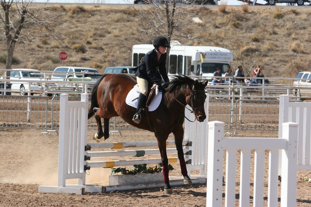 alex/nmsu_d1_fence/////////nmsu_fence_d1_0043.jpg