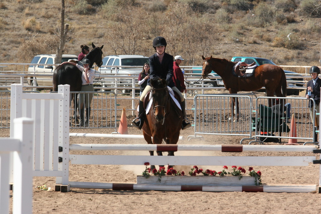 alex/nmsu_d1_fence////////nmsu_fence_d1_0045.jpg