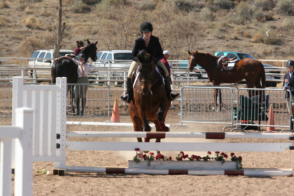 alex/nmsu_d1_fence////////nmsu_fence_d1_0046.jpg