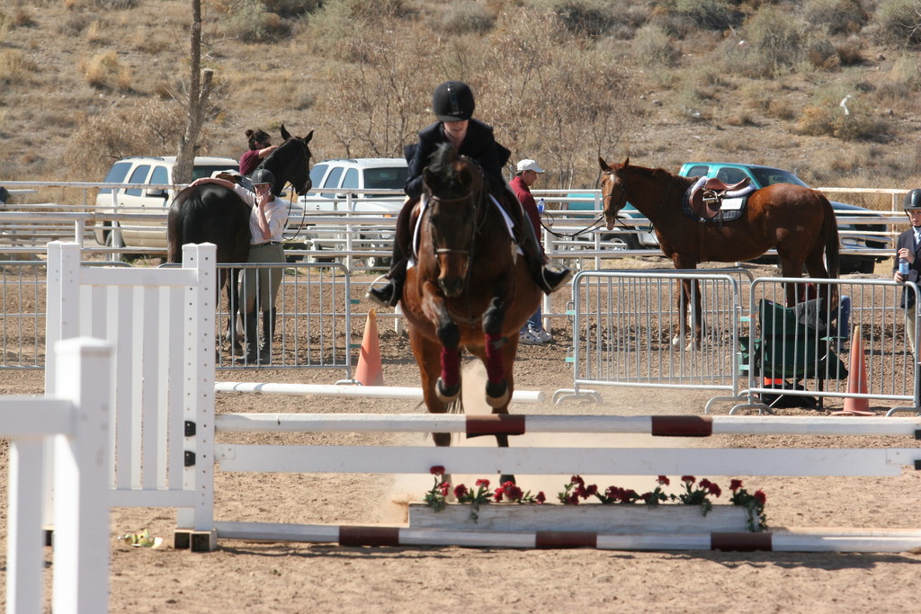 alex/nmsu_d1_fence/////////nmsu_fence_d1_0047.jpg