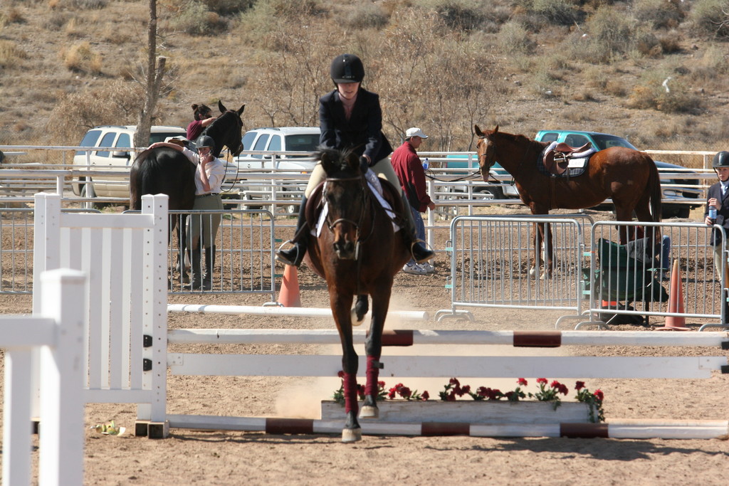 alex/nmsu_d1_fence////////nmsu_fence_d1_0048.jpg