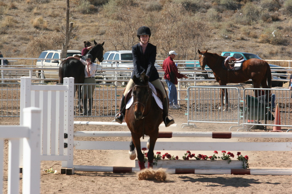 alex/nmsu_d1_fence/////nmsu_fence_d1_0049.jpg