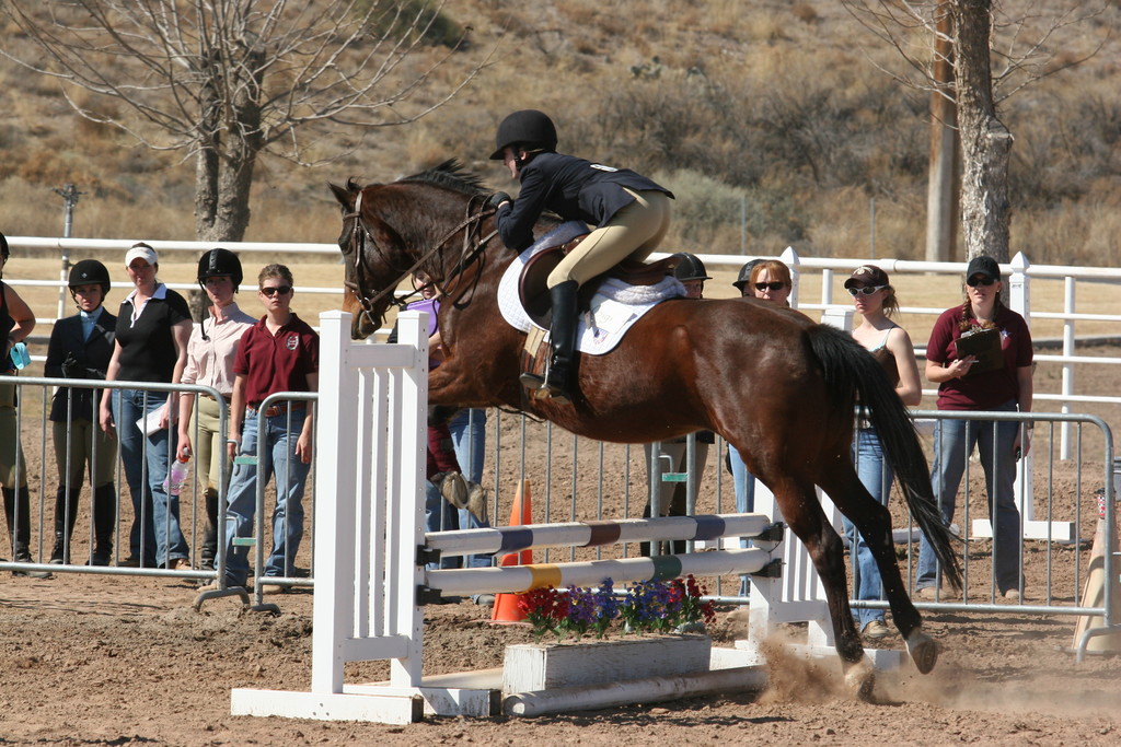 alex/nmsu_d1_fence//////nmsu_fence_d1_0051.jpg