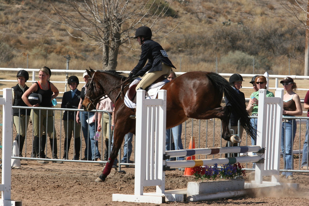 alex/nmsu_d1_fence////////nmsu_fence_d1_0052.jpg