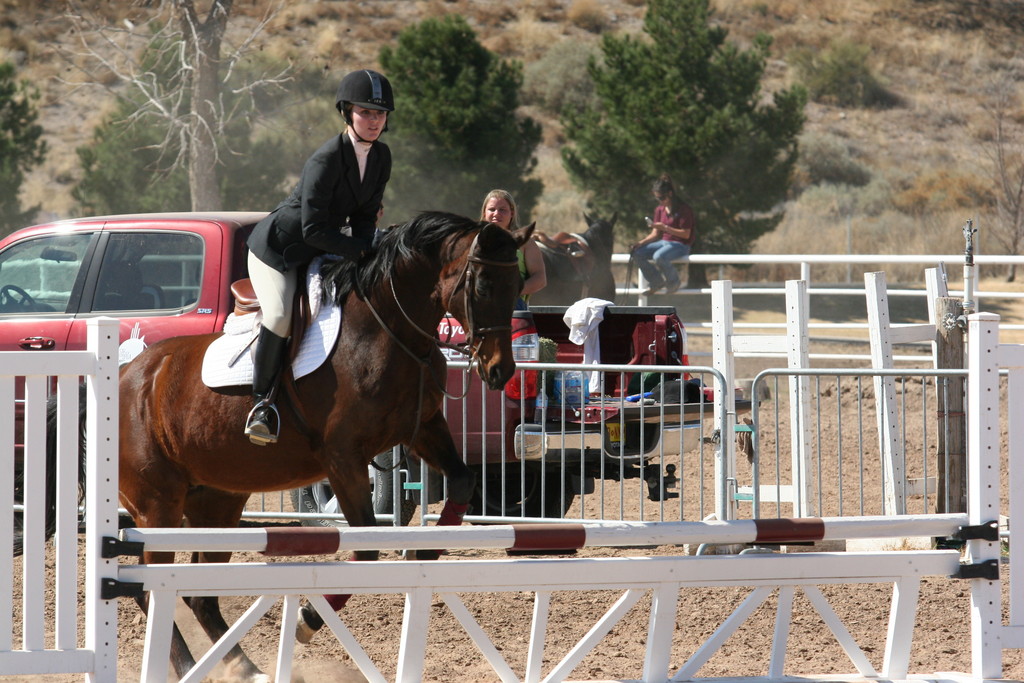 alex/nmsu_d1_fence////////nmsu_fence_d1_0059.jpg