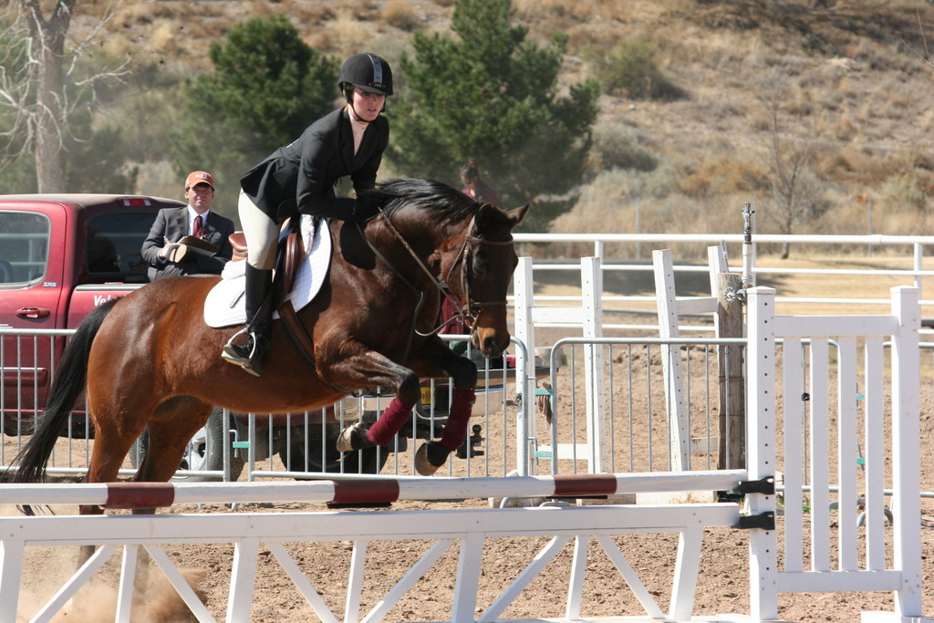 alex/nmsu_d1_fence////////nmsu_fence_d1_0060.jpg