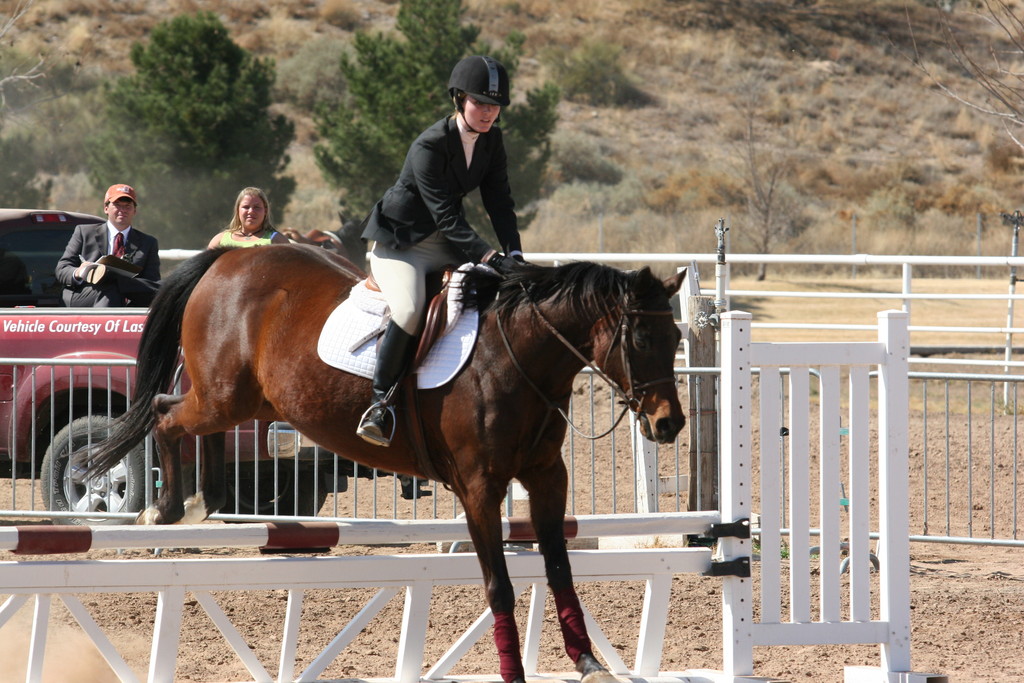 alex/nmsu_d1_fence/////////nmsu_fence_d1_0061.jpg