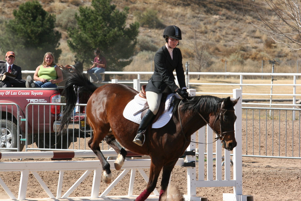 alex/nmsu_d1_fence/////////nmsu_fence_d1_0062.jpg