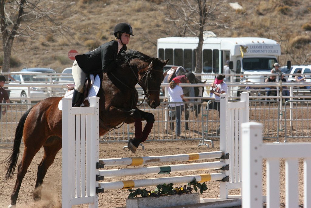 alex/nmsu_d1_fence////////nmsu_fence_d1_0063.jpg