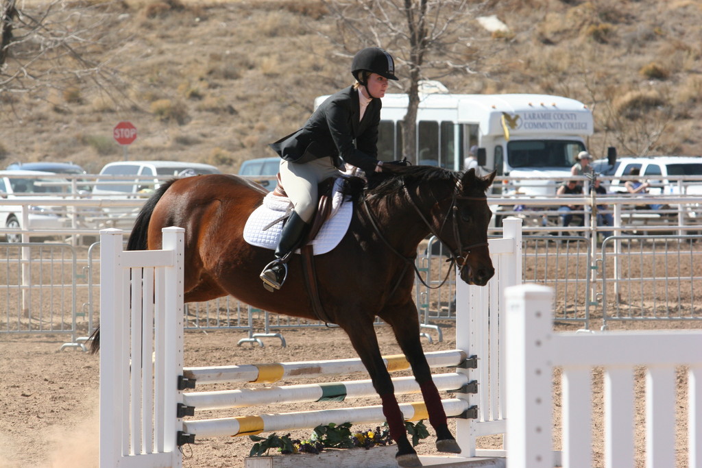 alex/nmsu_d1_fence////////nmsu_fence_d1_0064.jpg