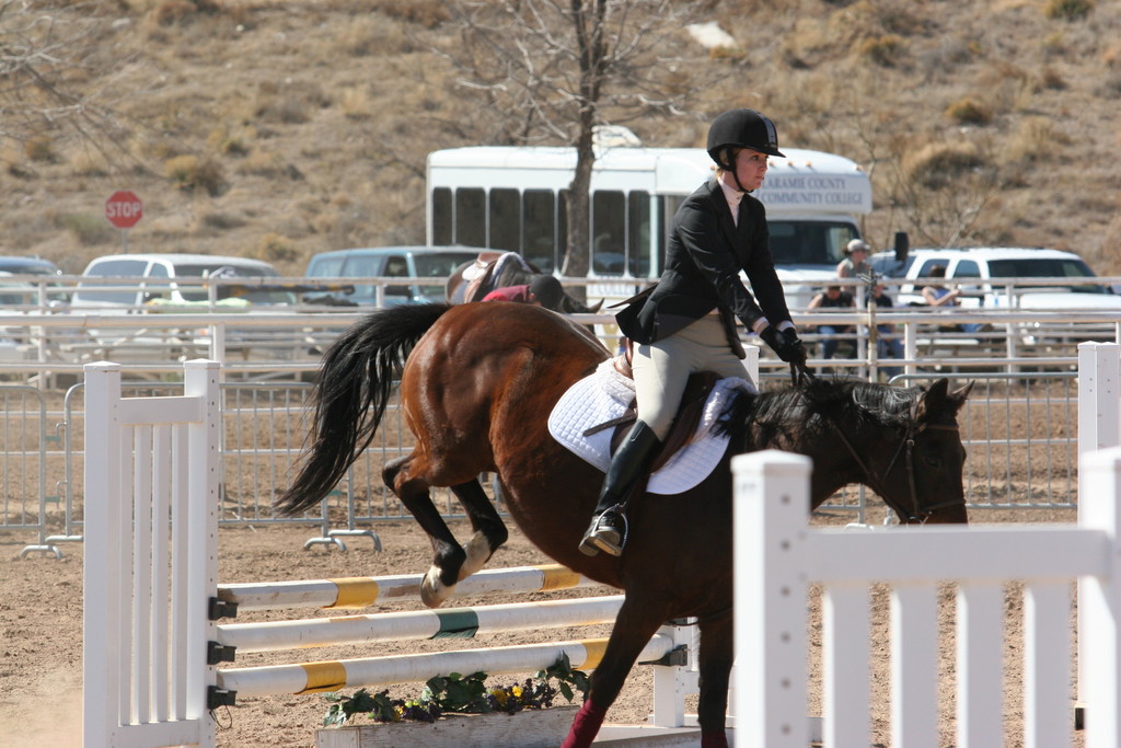 alex/nmsu_d1_fence/nmsu_fence_d1_0065.jpg