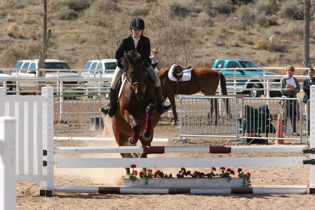 alex/nmsu_d1_fence/////nmsu_fence_d1_0067.jpg