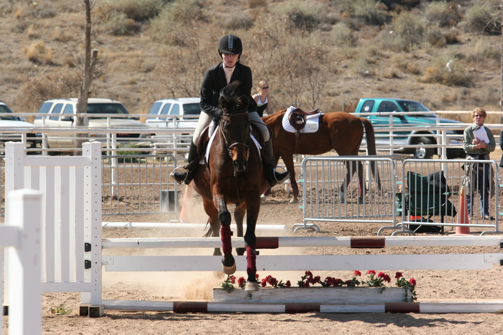 alex/nmsu_d1_fence/////////nmsu_fence_d1_0068.jpg