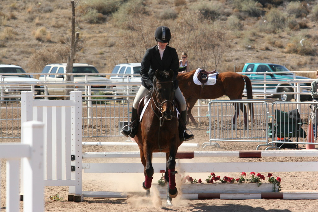 alex/nmsu_d1_fence////nmsu_fence_d1_0070.jpg