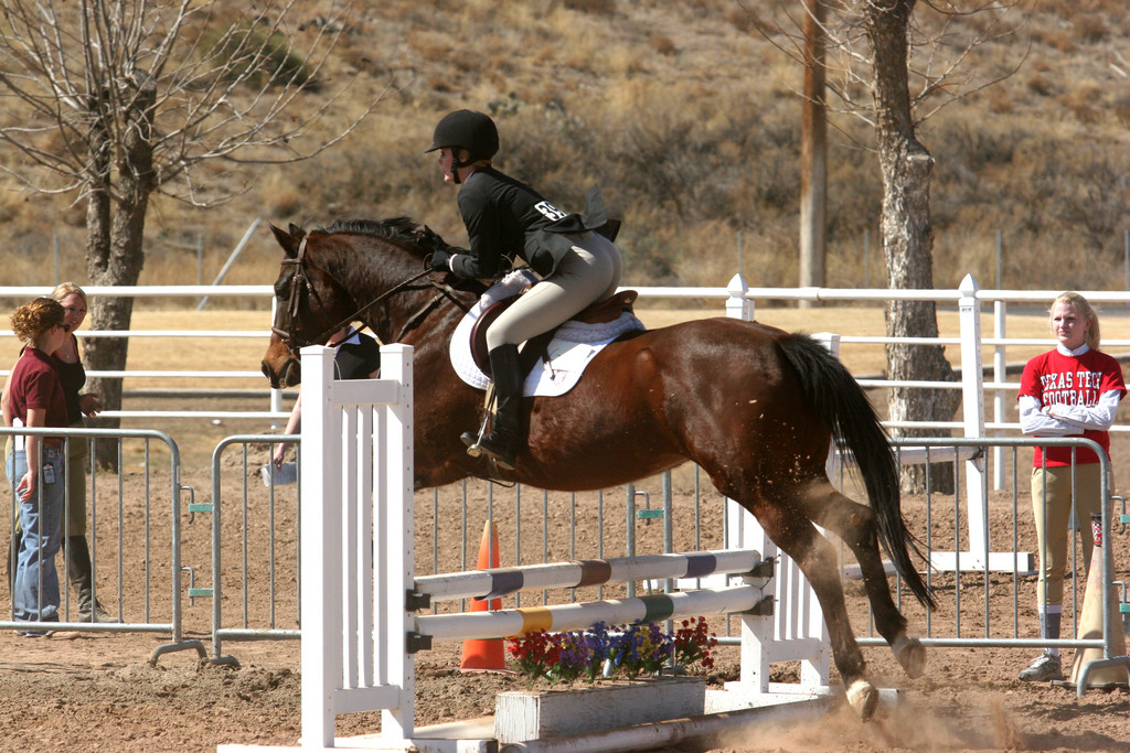 alex/nmsu_d1_fence////nmsu_fence_d1_0073.jpg