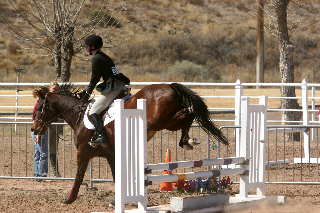 alex/nmsu_d1_fence/////nmsu_fence_d1_0074.jpg