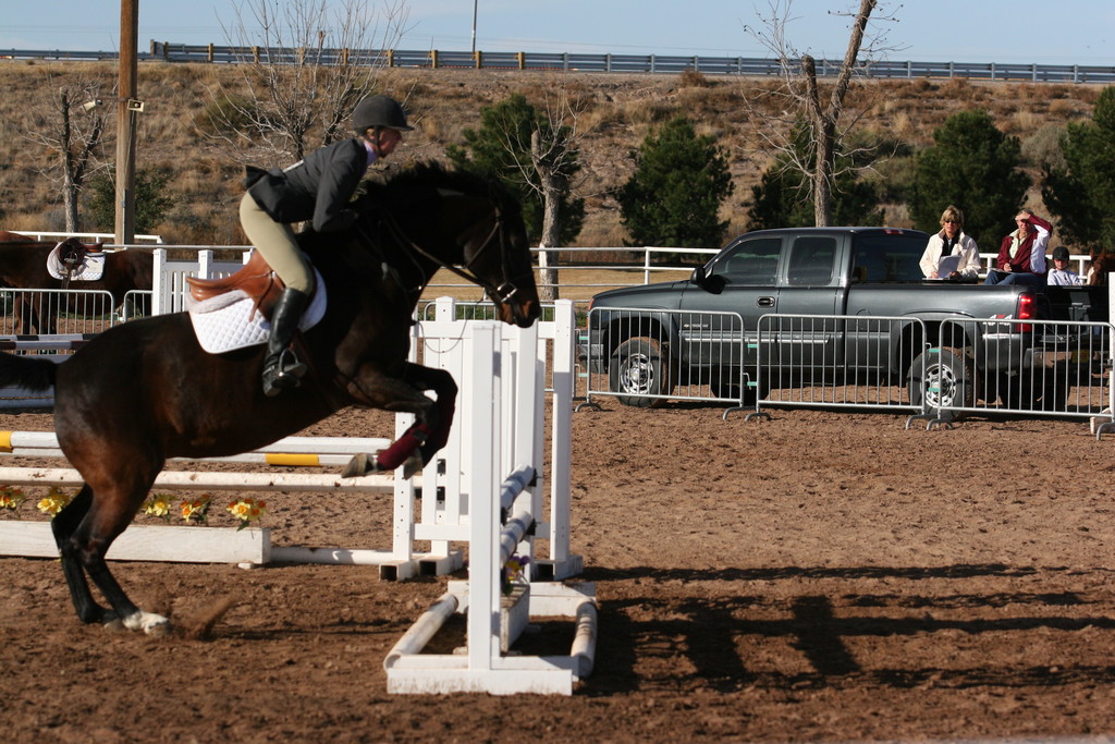 alex/nmsu_d2_fence///////////////////nmsu_fence_d2_0003.jpg