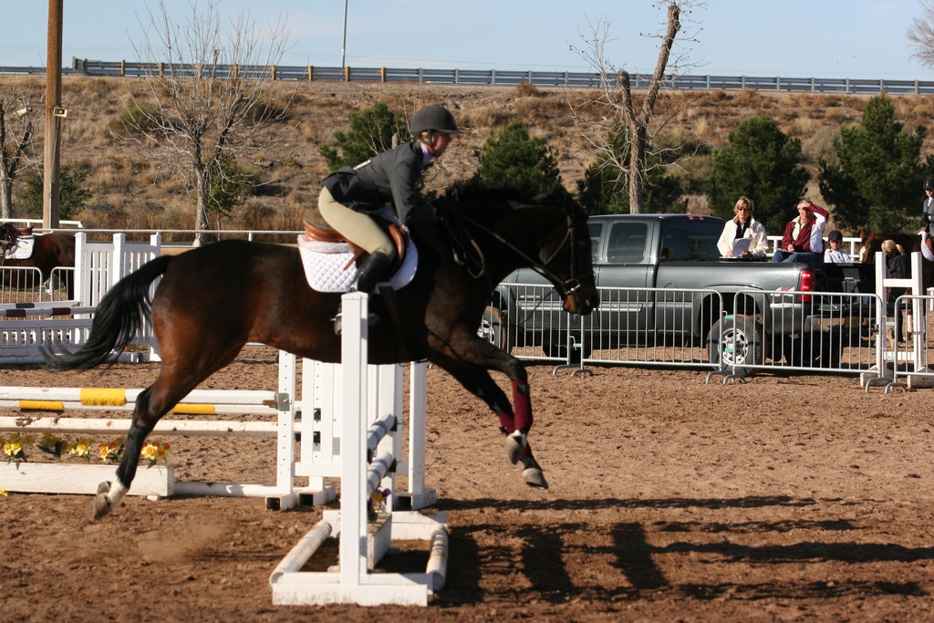 alex/nmsu_d2_fence/////////nmsu_fence_d2_0004.jpg