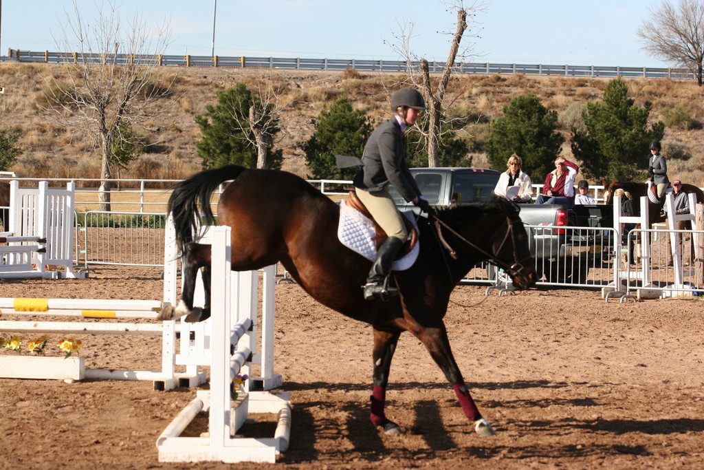 alex/nmsu_d2_fence///////////////////////////////////nmsu_fence_d2_0005.jpg