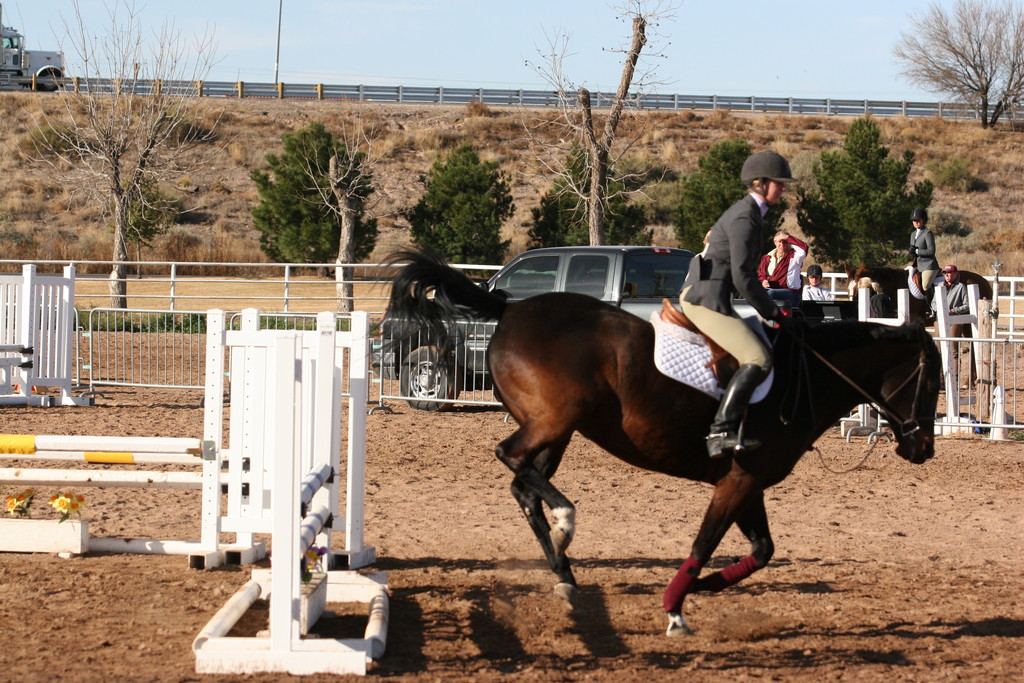 alex/nmsu_d2_fence/////////////////////////////////////////////////////////////////nmsu_fence_d2_0006.jpg