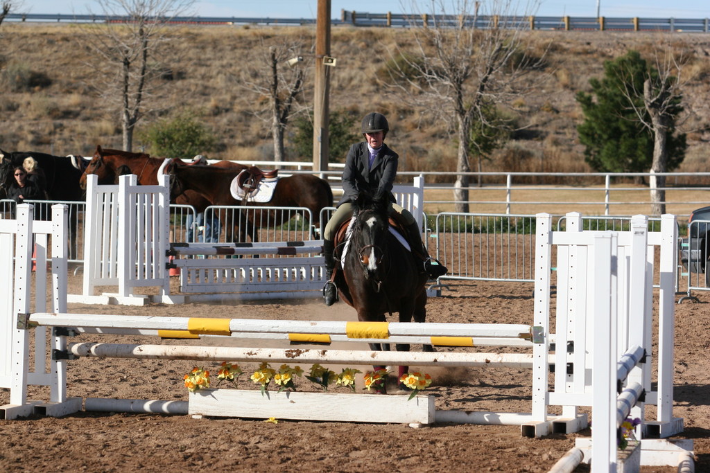 alex/nmsu_d2_fence////////////////////////////////////////////////////////////////////////nmsu_fence_d2_0007.jpg