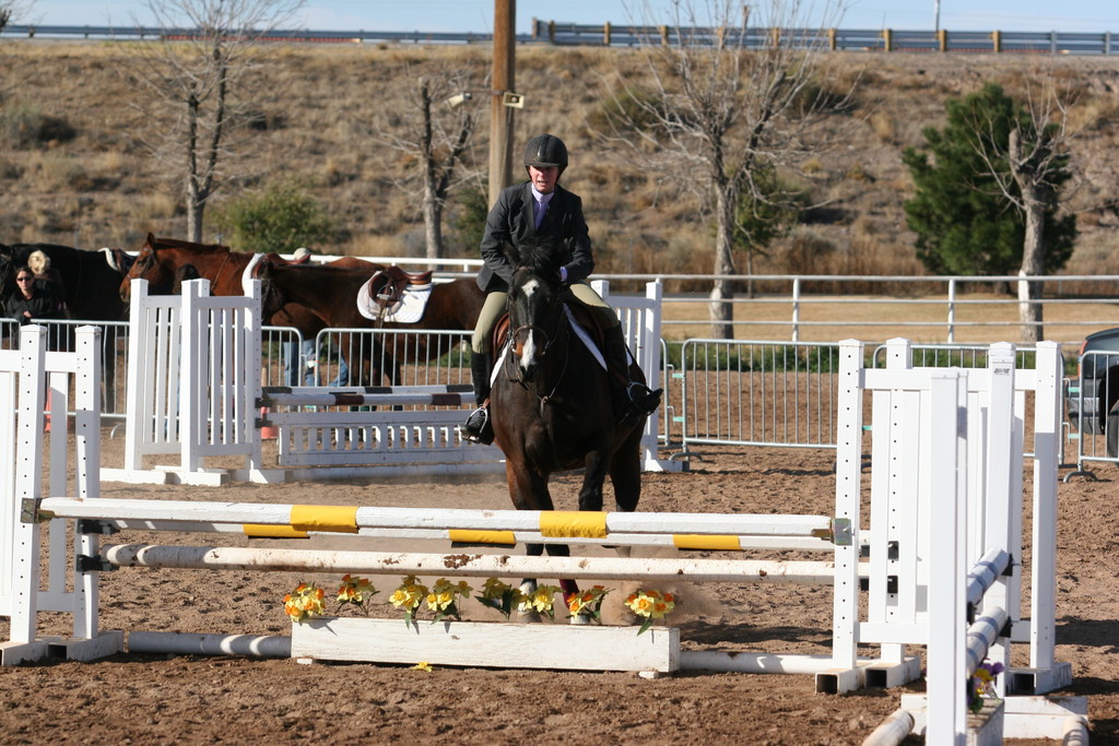 alex/nmsu_d2_fence///////////////////////////////////////////////////////nmsu_fence_d2_0008.jpg