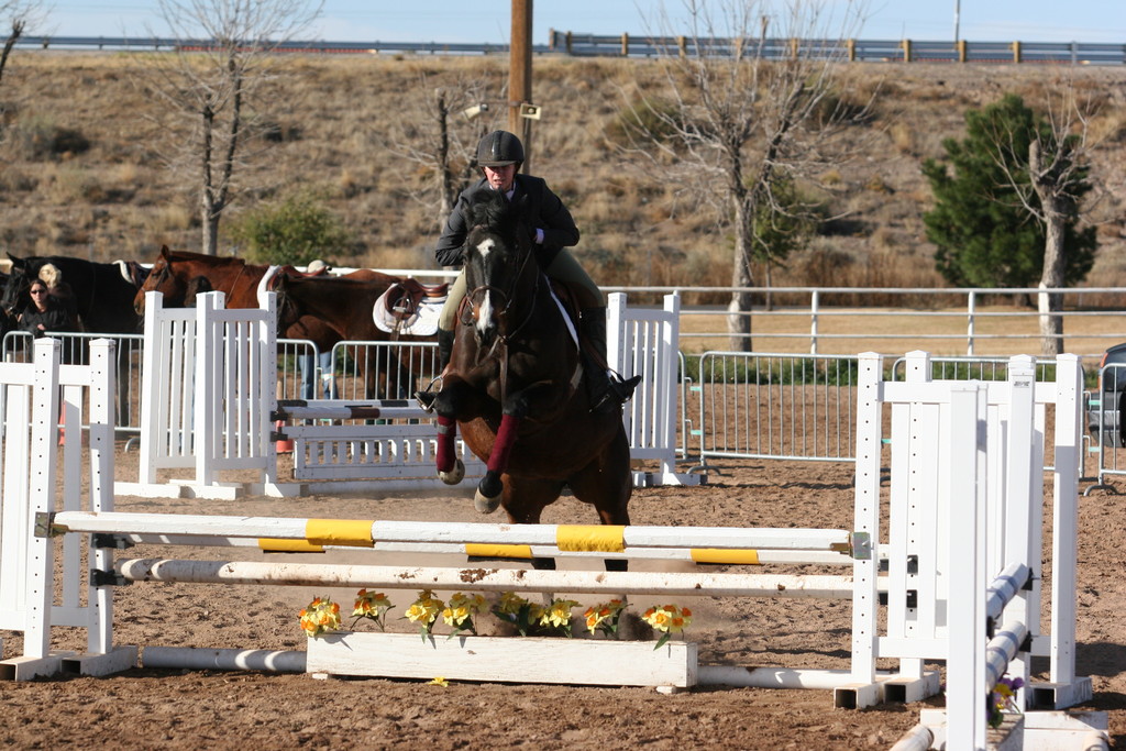 alex/nmsu_d2_fence//////////////////////////////////////nmsu_fence_d2_0009.jpg